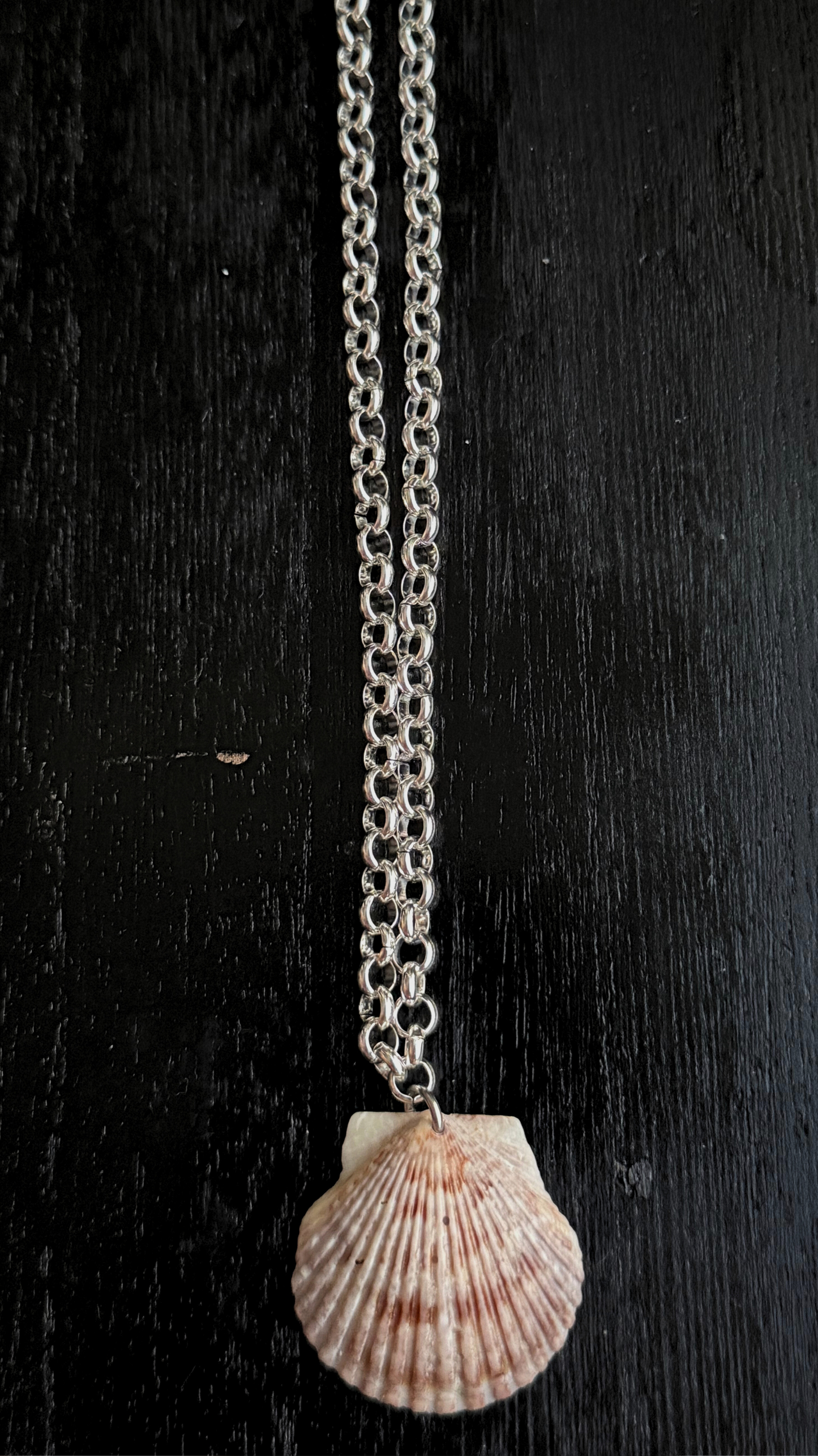 The Silver Rolo Chain Shell Necklace
