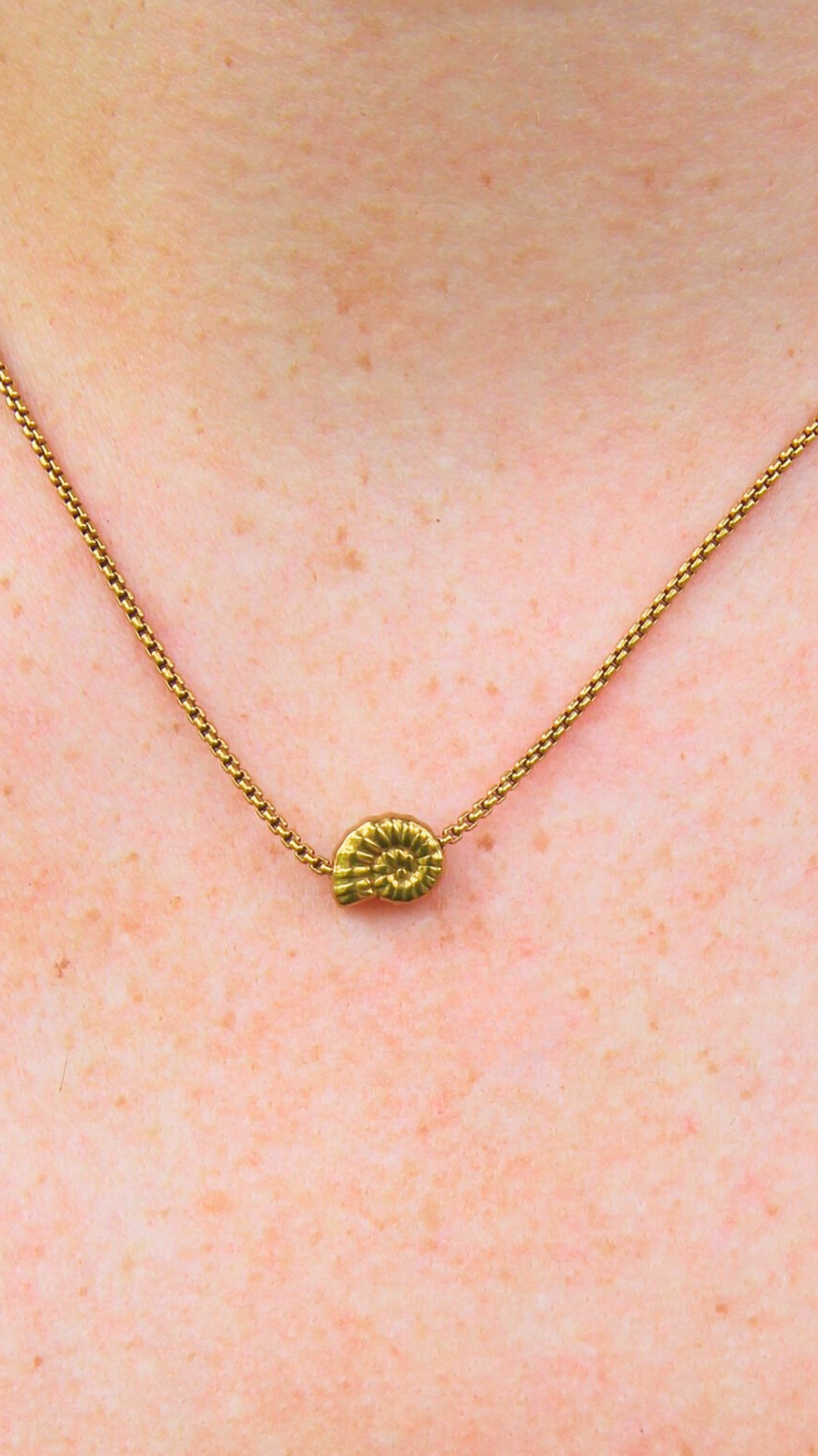 The Dainty Turbo Shell Necklace