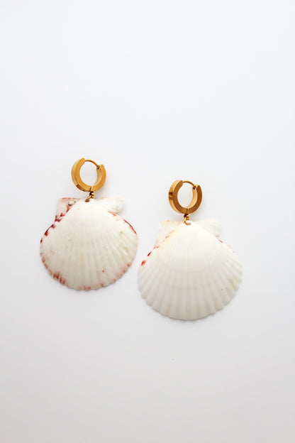 The Thick Huggie Shell Earrings