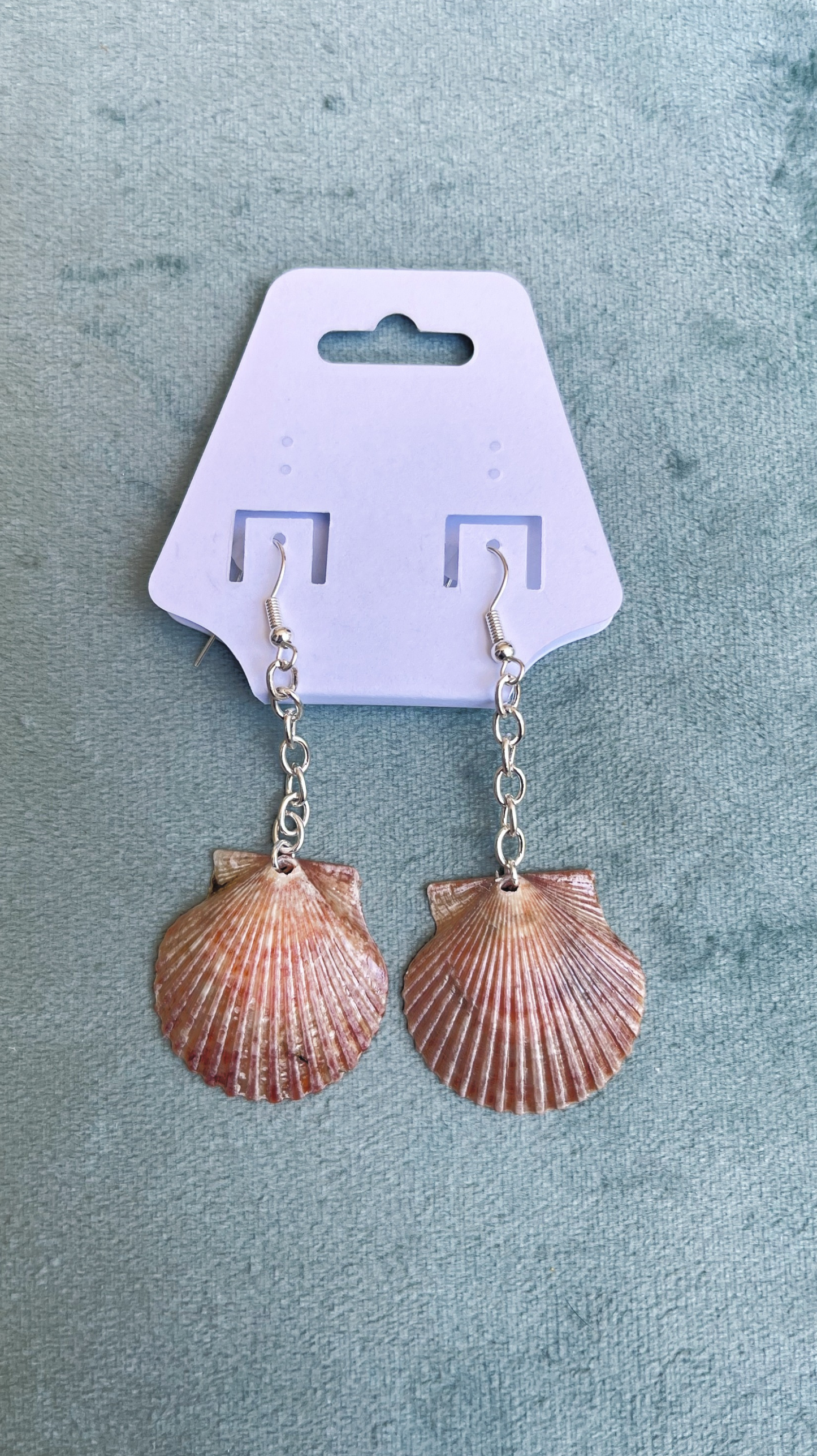 The Silver Chain Shell Earrings