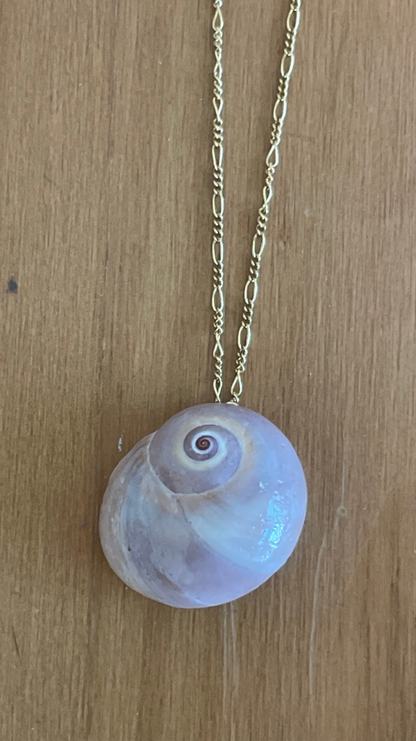 The Moon Shell Necklace