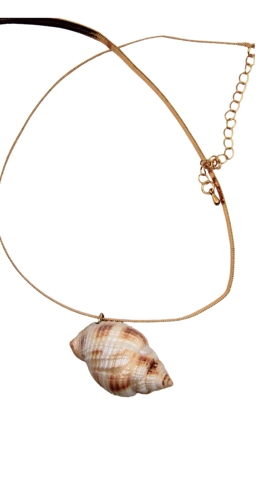 The Common Nutmeg Shell Necklace