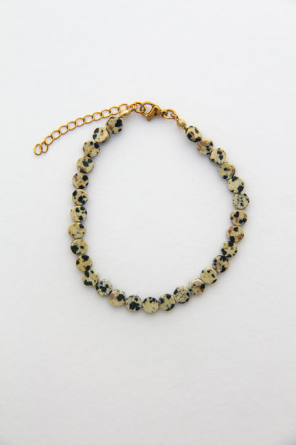 Dalmation Jasper Bracelet