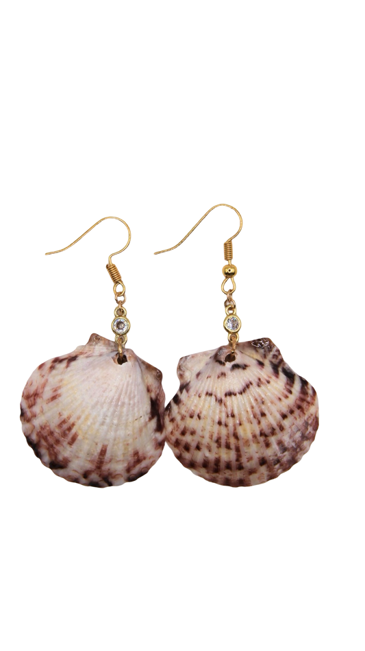 The Glam Shell Earrings