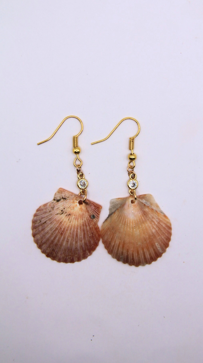 The Glam Shell Earrings