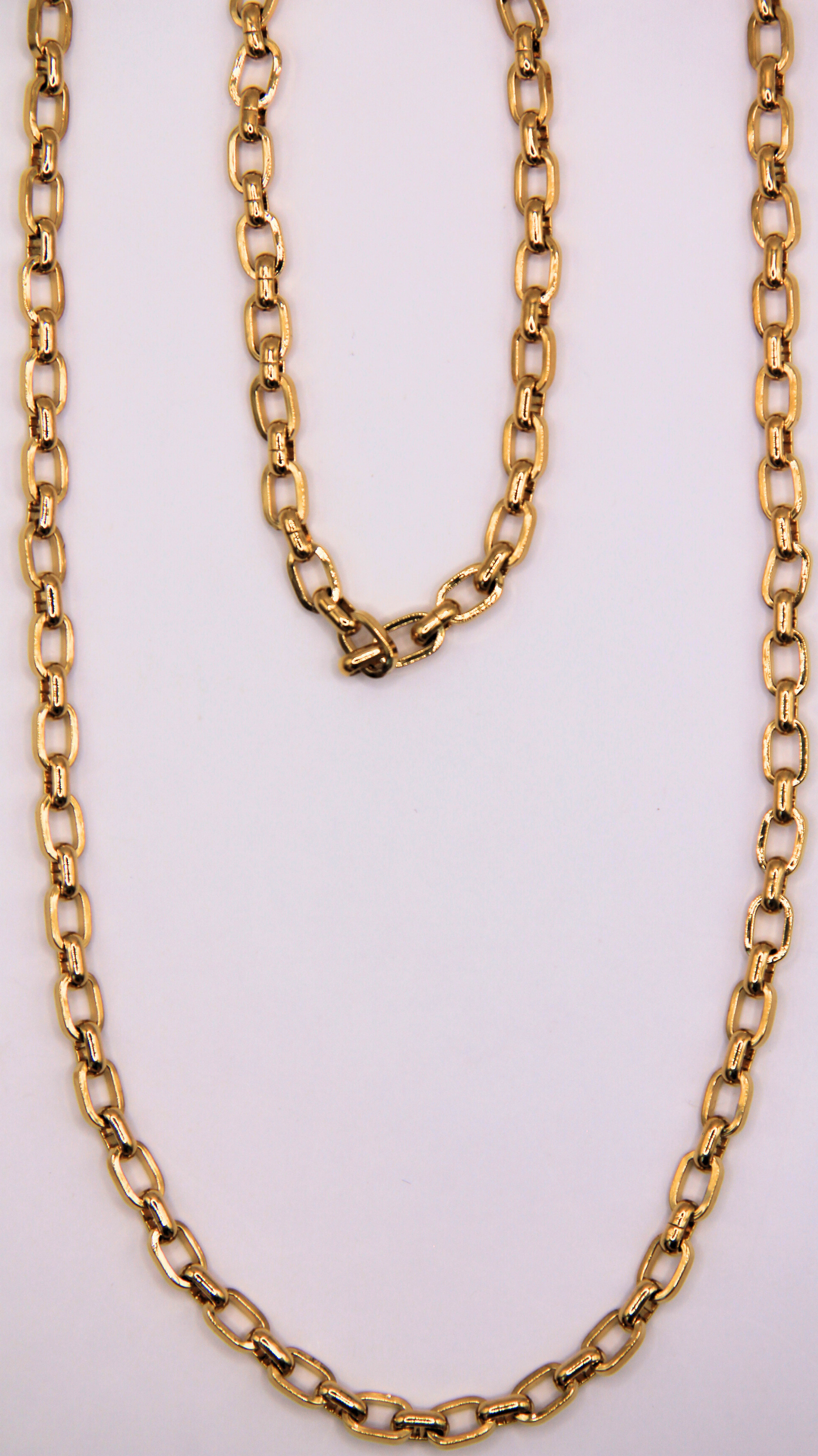 The Gold Plated Carol Charm Base Necklace