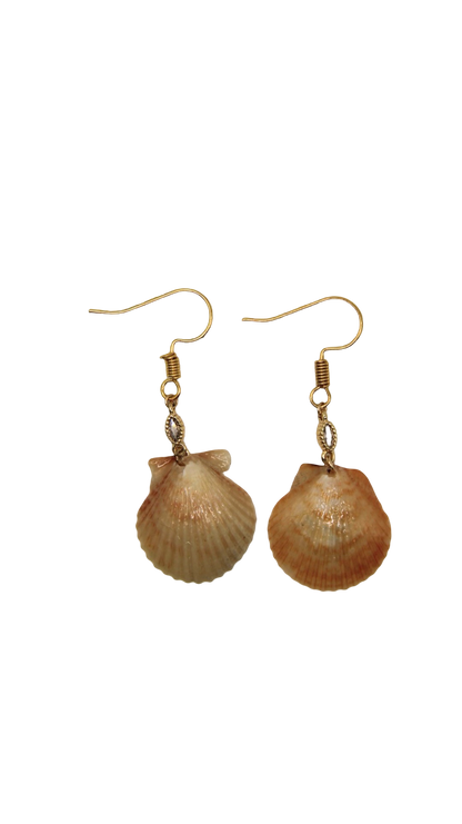 The Ivy Shell Earrings