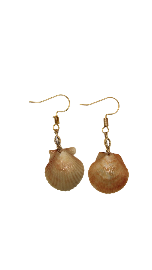 The Ivy Shell Earrings