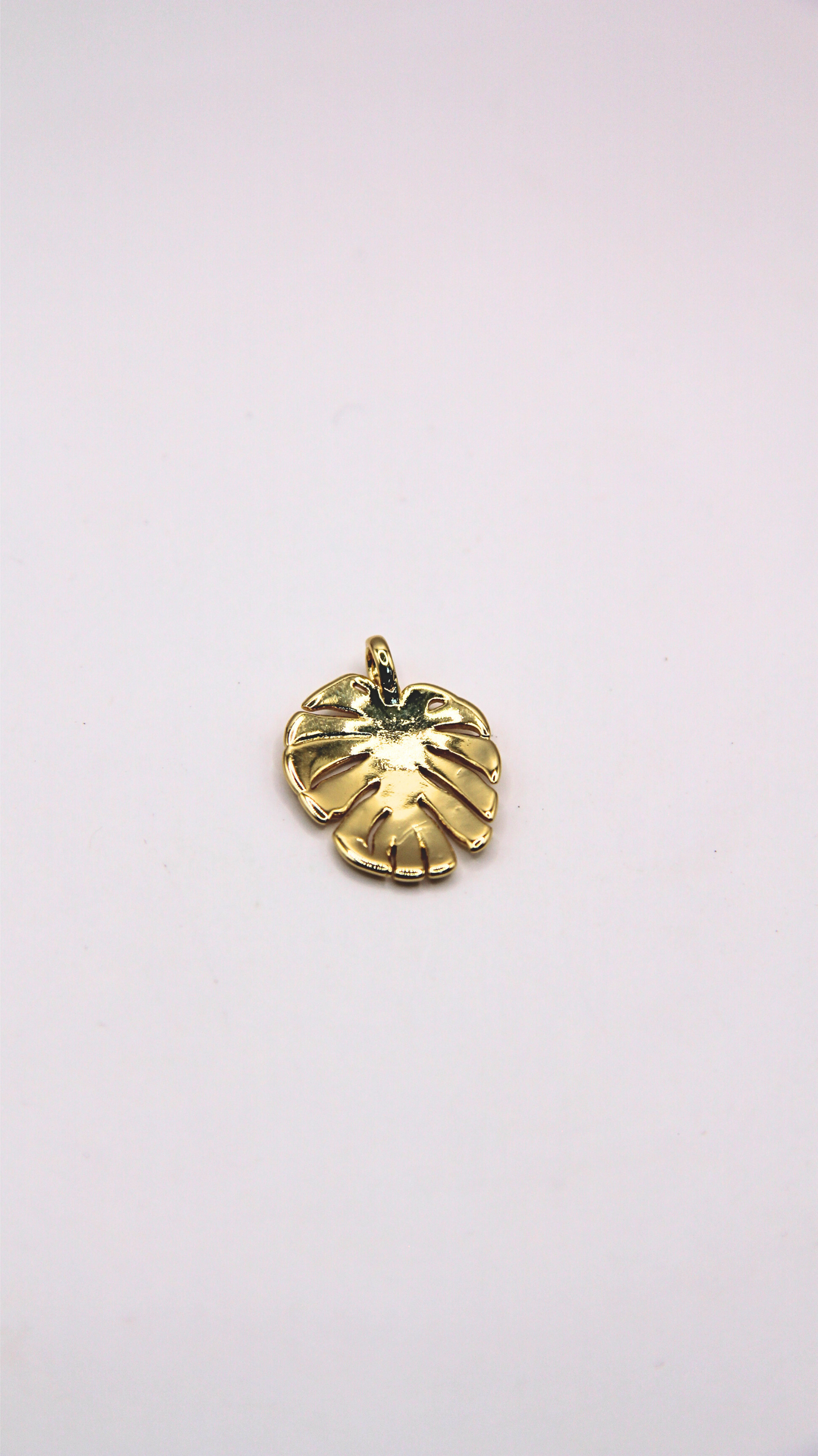 The Monstera Charm