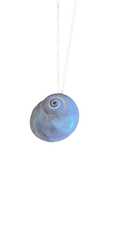 The Moon Shell Necklace