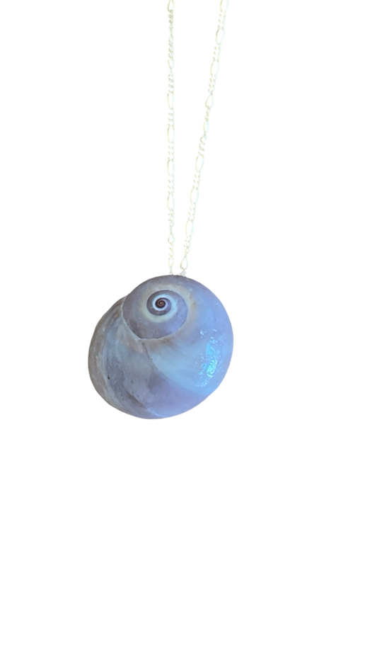 The Moon Shell Necklace