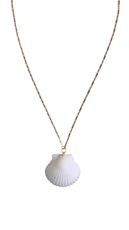 White Calico Shell Necklace