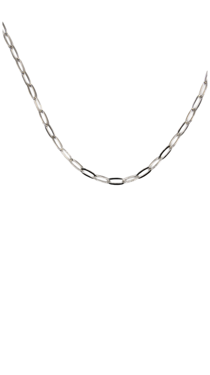 The Silver Emily Chain