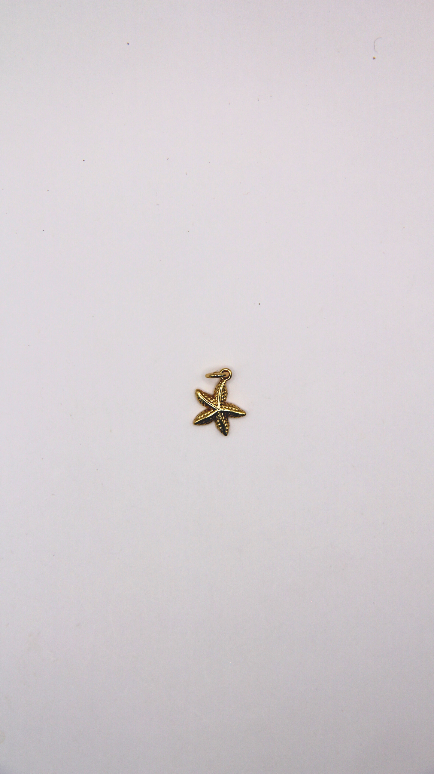 The Starfish Charm