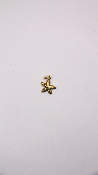 The Starfish Charm