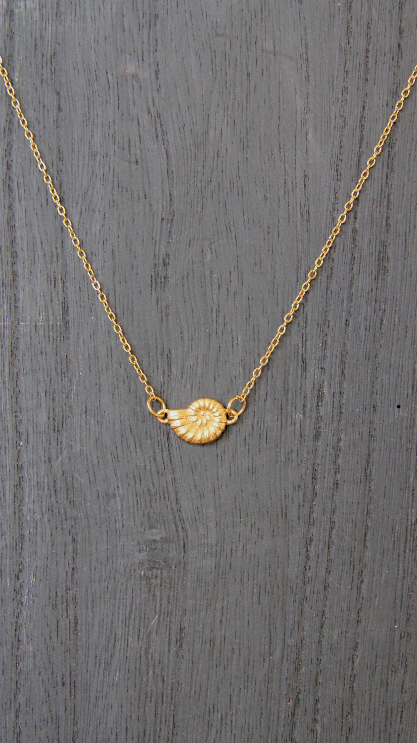 The Turbo Shell Necklace