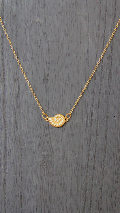 The Turbo Shell Necklace