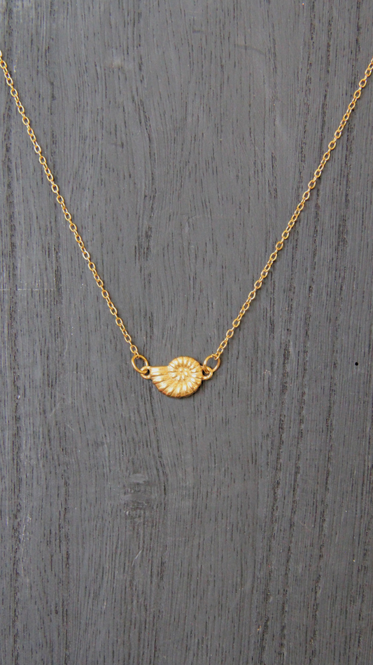 The Turbo Shell Necklace